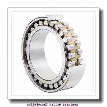 3.346 Inch | 85 Millimeter x 5.118 Inch | 130 Millimeter x 1.339 Inch | 34 Millimeter  NTN NN3017KC0NAUP-1  Cylindrical Roller Bearings