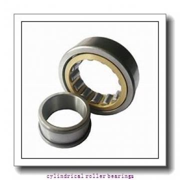 FAG NJ318-E-M1-F1-C4  Cylindrical Roller Bearings