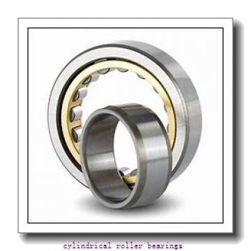 FAG NU310-E-M1A-C3  Cylindrical Roller Bearings