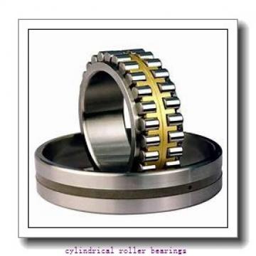FAG N238-E-M1-C3  Cylindrical Roller Bearings