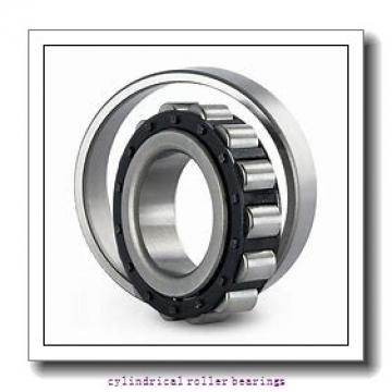 85 mm x 180 mm x 41 mm  FAG NJ317-E-TVP2  Cylindrical Roller Bearings