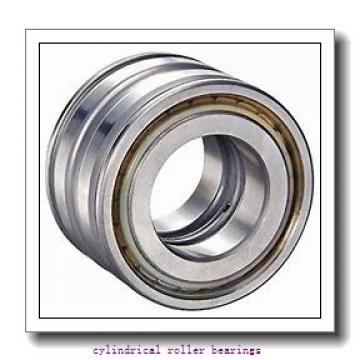 15 mm x 35 mm x 11 mm  FAG N202-E-TVP2  Cylindrical Roller Bearings