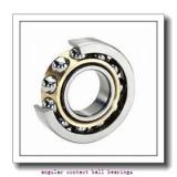 0.669 Inch | 17 Millimeter x 1.85 Inch | 47 Millimeter x 0.551 Inch | 14 Millimeter  NSK 7303BWG  Angular Contact Ball Bearings